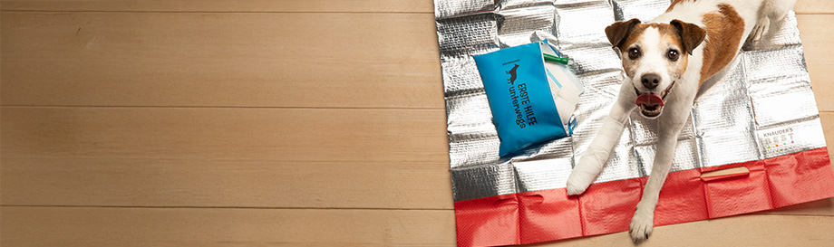 Produkte für die Gesundheit und zur Genesung von Hunden